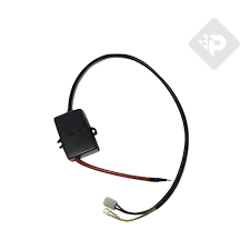 PEISA REPUESTO - UNIDAD ELECTRON ENC P/BGL 168/168