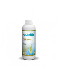 VULCANO ACCESORIOS - FUNGUICIDA 1 LT
